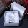 Mini Globe Terrestre cristal argent